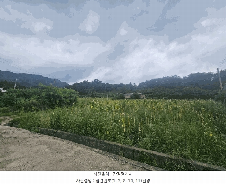 경매 이미지