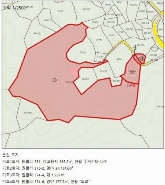경매 이미지