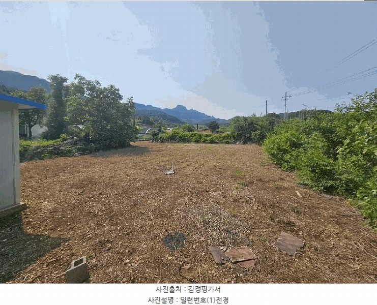 경매 이미지