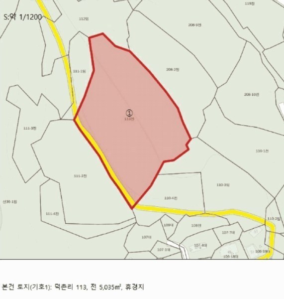 경매 이미지