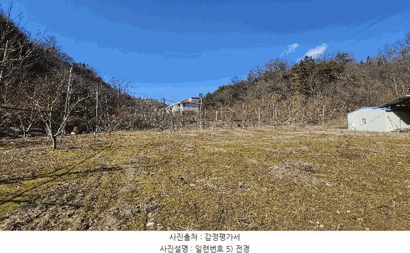 경매 이미지