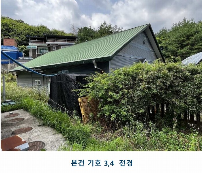 경매 이미지