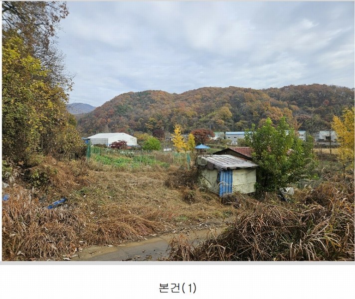 경매 이미지