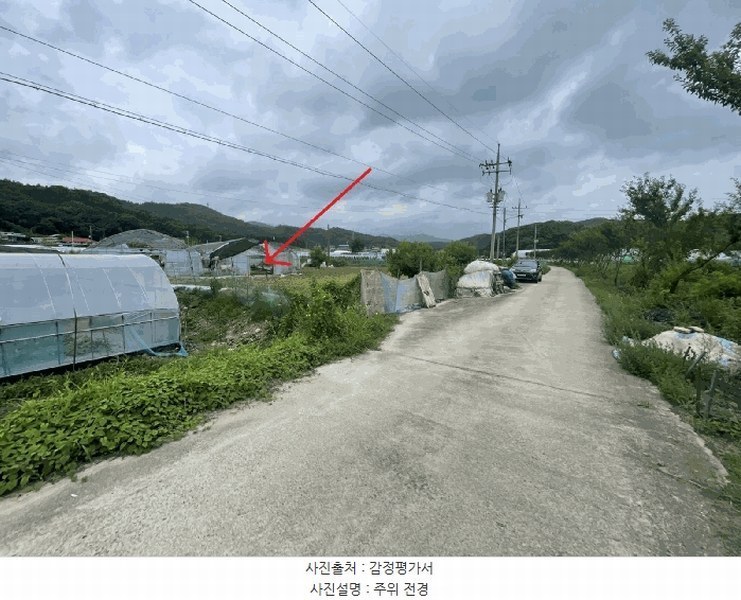 경매 이미지