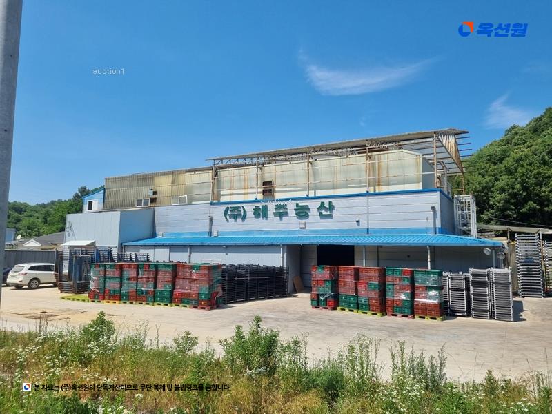 경매 이미지