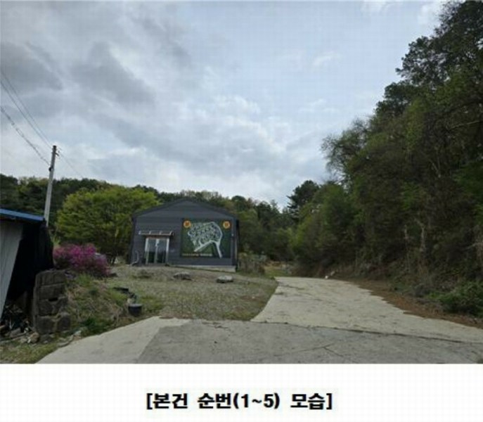 경매 이미지