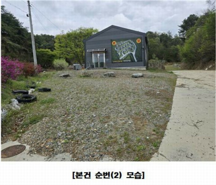 경매 이미지