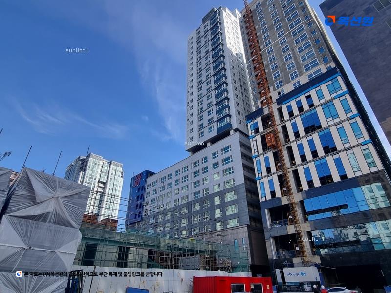 경매 이미지