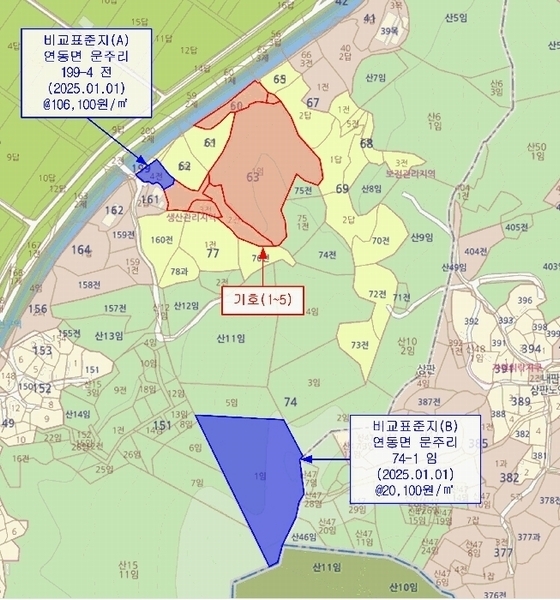 경매 이미지