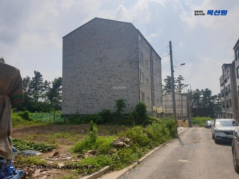 경매 이미지