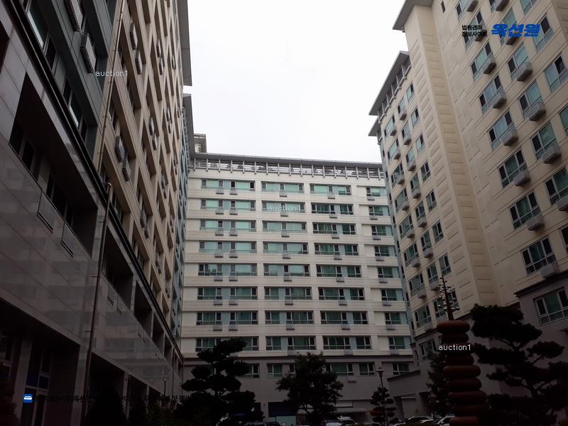 경매 이미지