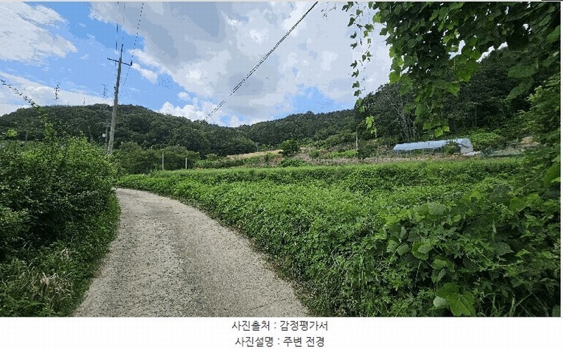 경매 이미지