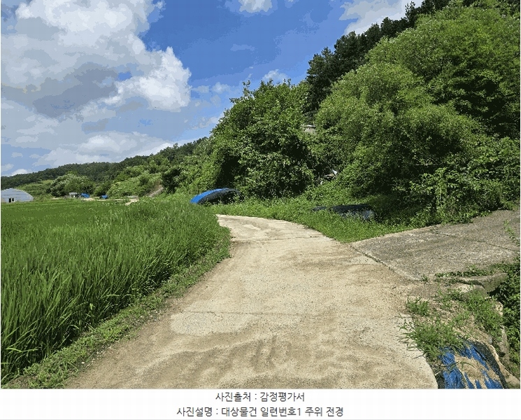 경매 이미지