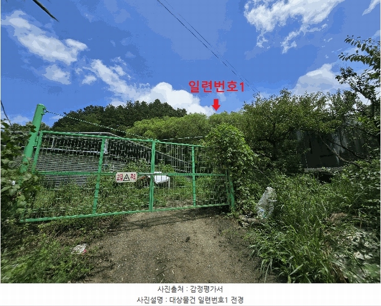경매 이미지