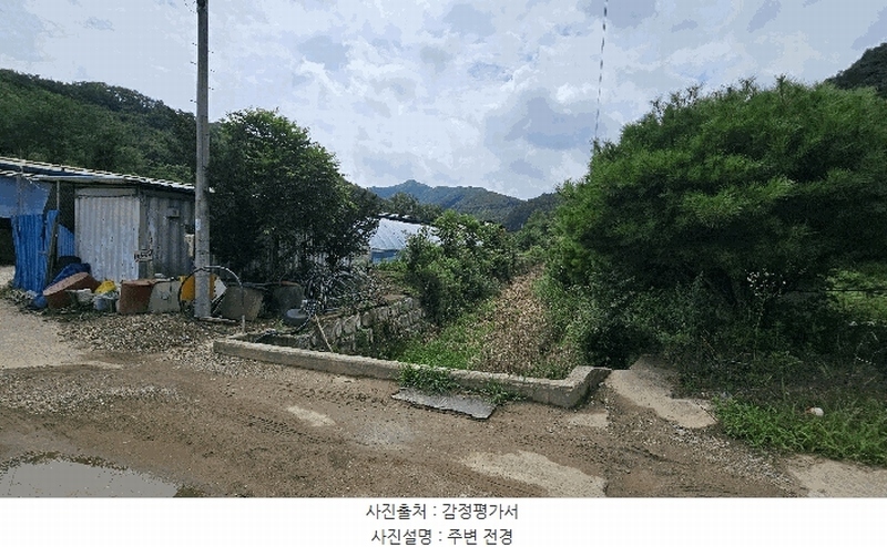 경매 이미지