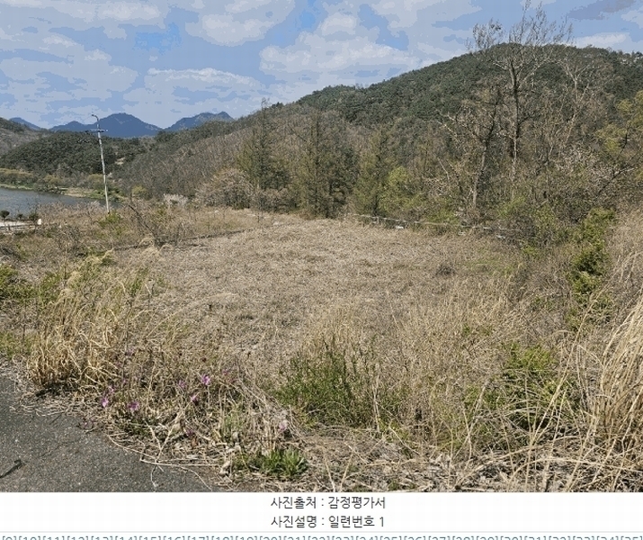 경매 이미지