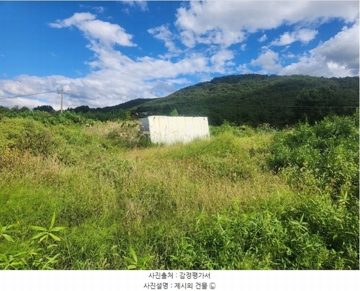 경매 이미지
