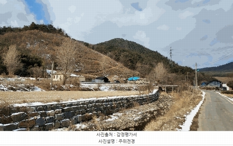 경매 이미지