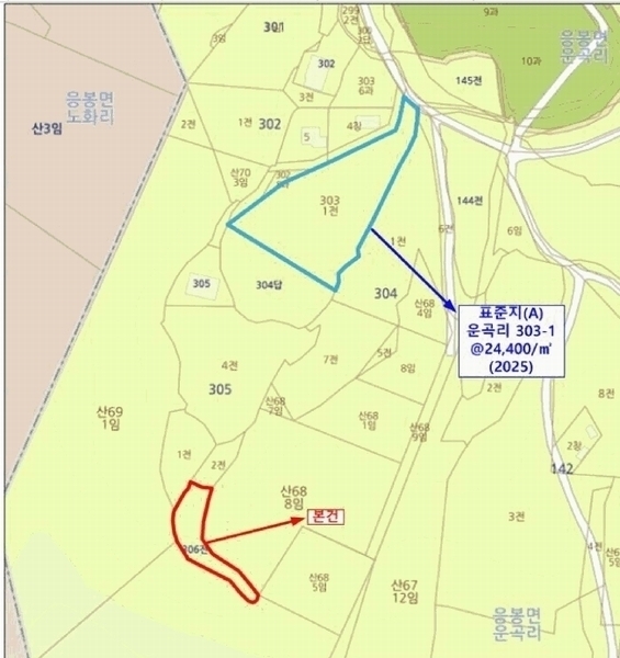 경매 이미지