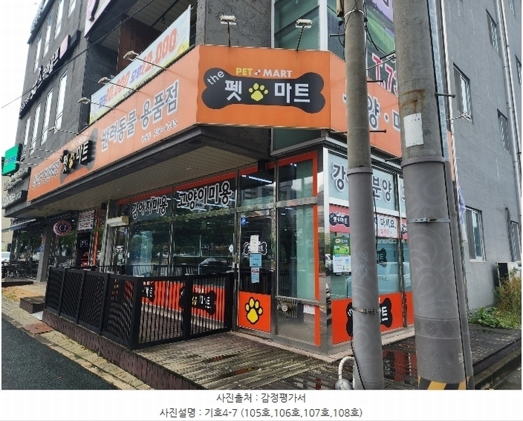 경매 이미지