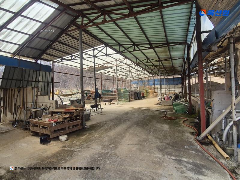 경매 이미지