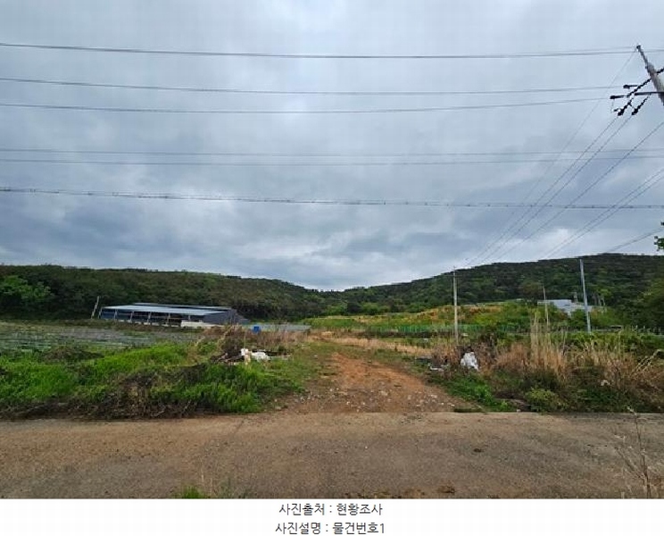 경매 이미지