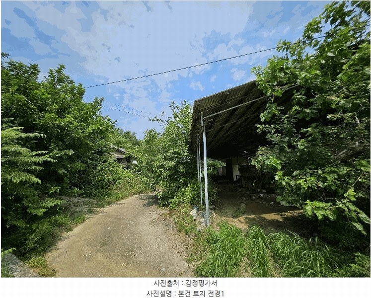 경매 이미지