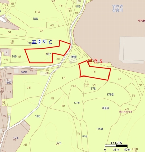 경매 이미지