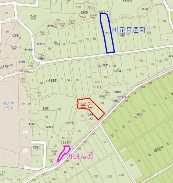 경매 이미지