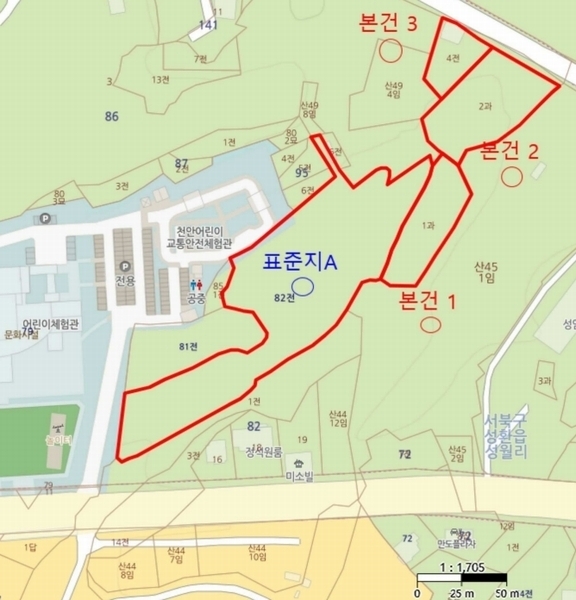 경매 이미지