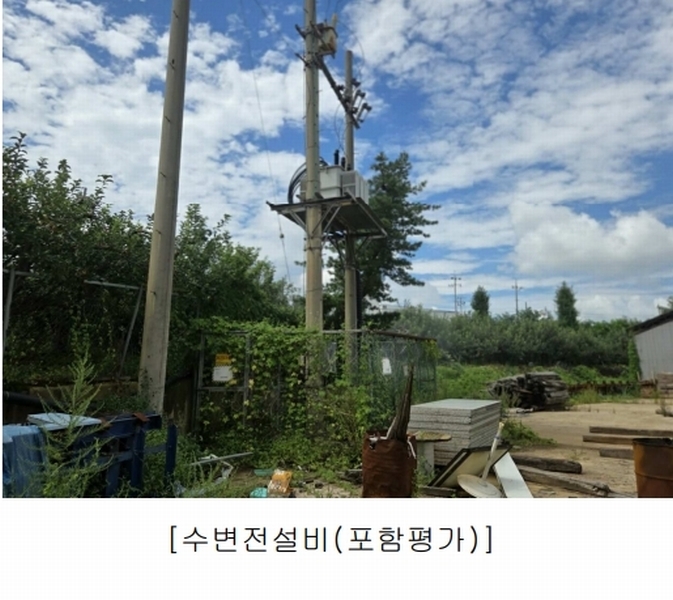 경매 이미지