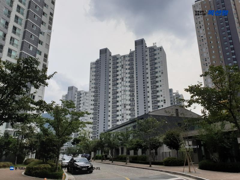 경매 이미지