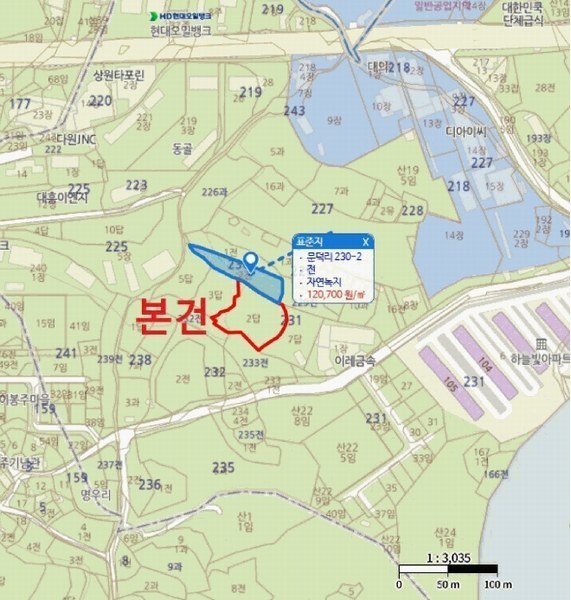 경매 이미지