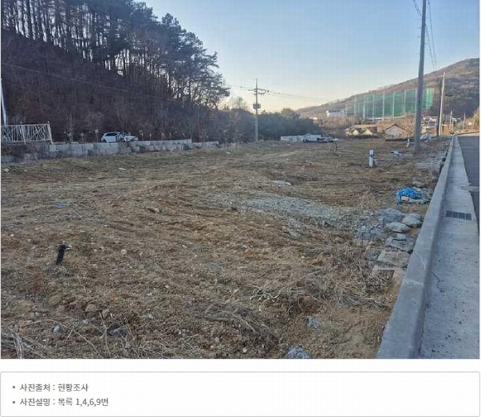 경매 이미지