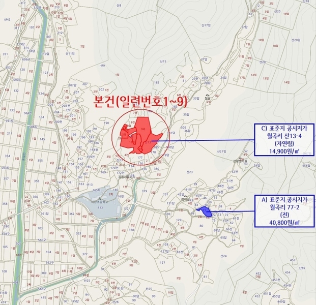 경매 이미지