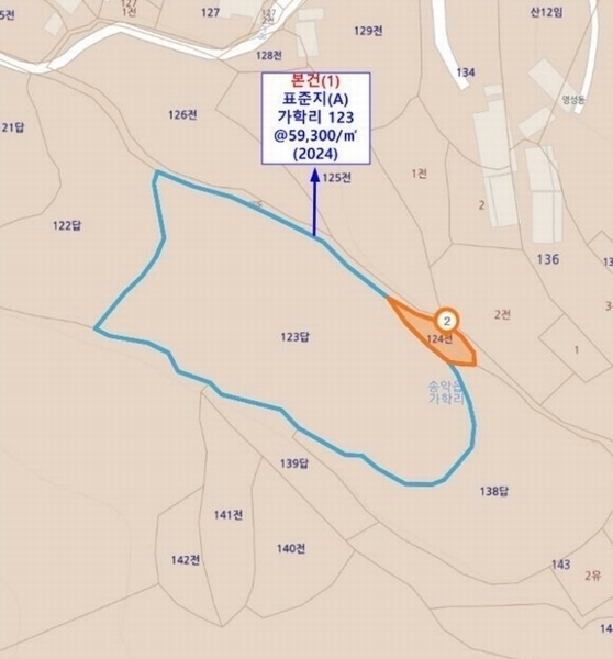 경매 이미지