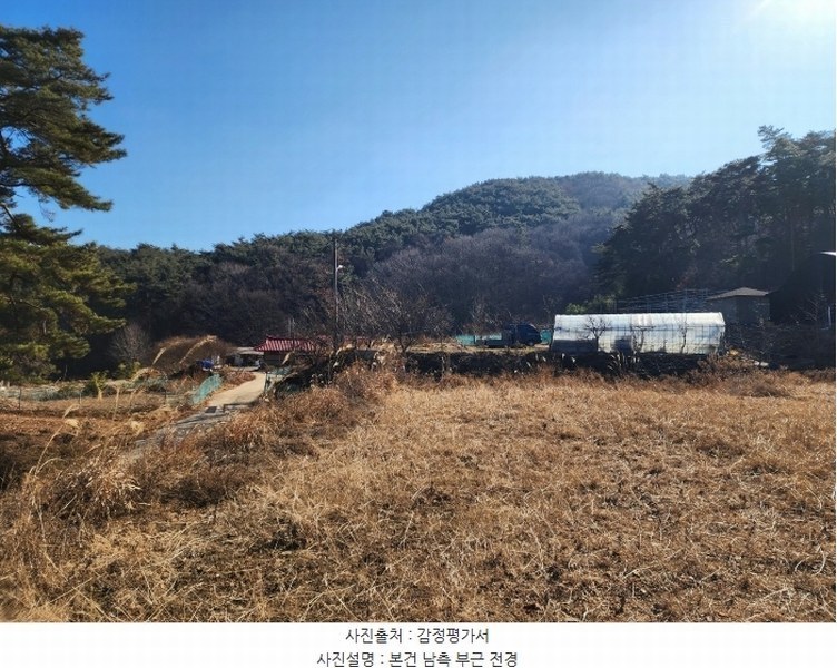 경매 이미지