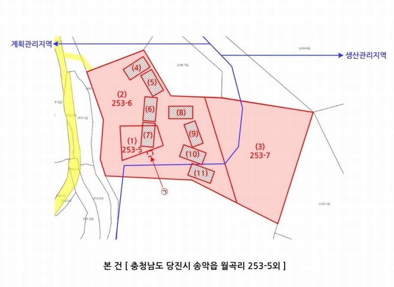 경매 이미지