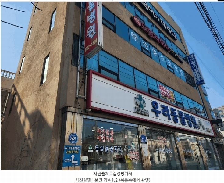 경매 이미지