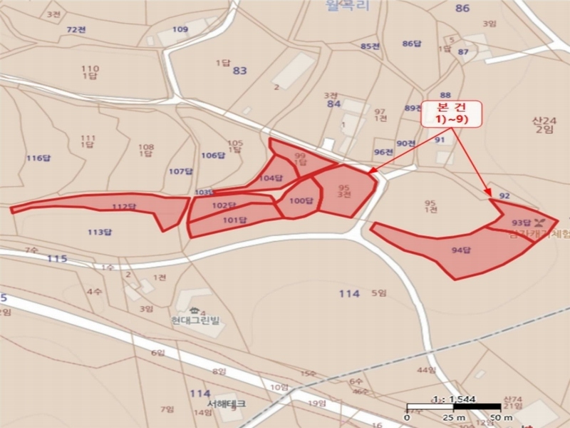 경매 이미지