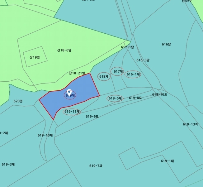 경매 이미지