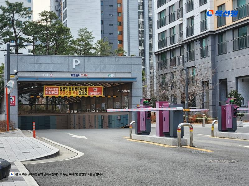 경매 이미지