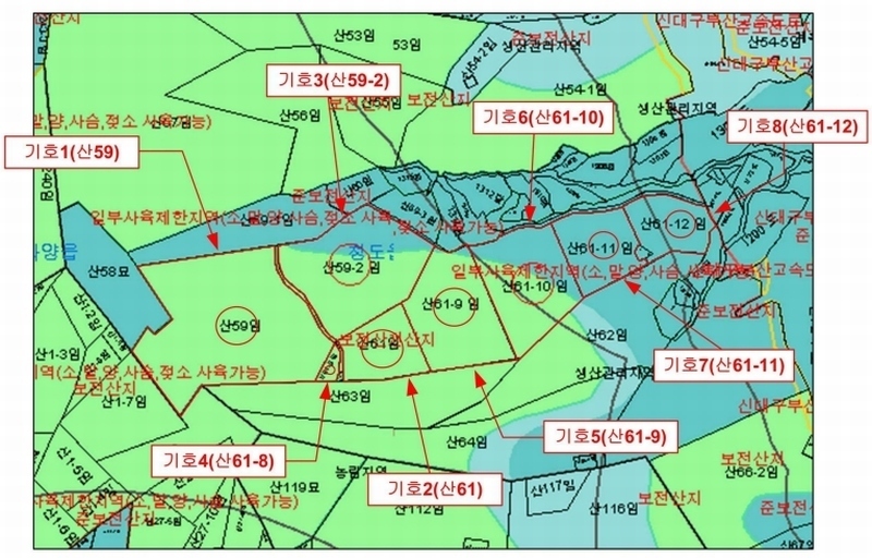 경매 이미지