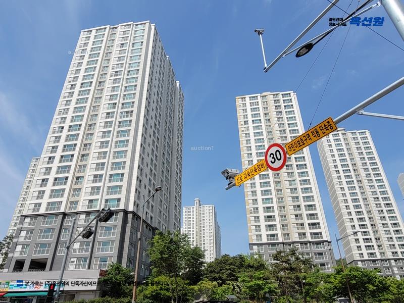 경매 이미지