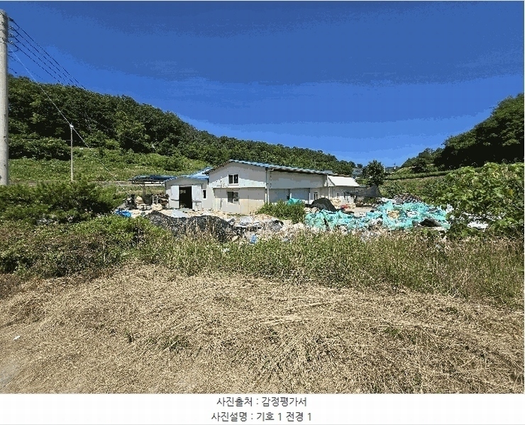 경매 이미지