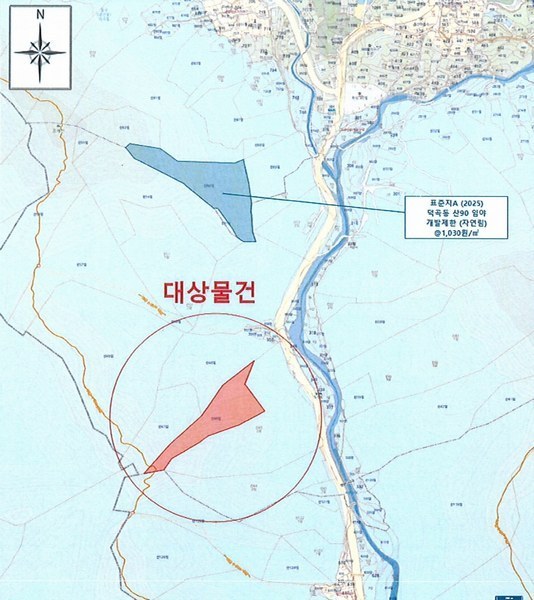 경매 이미지