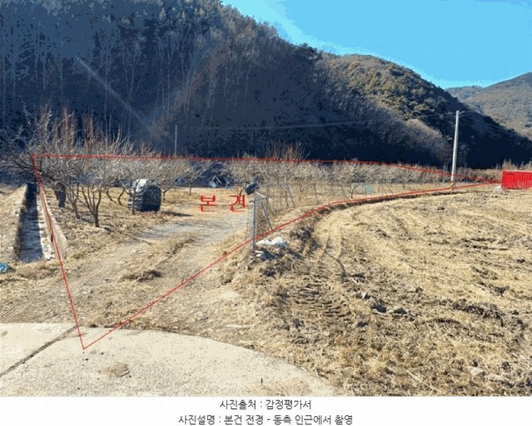 경매 이미지