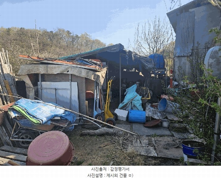 경매 이미지