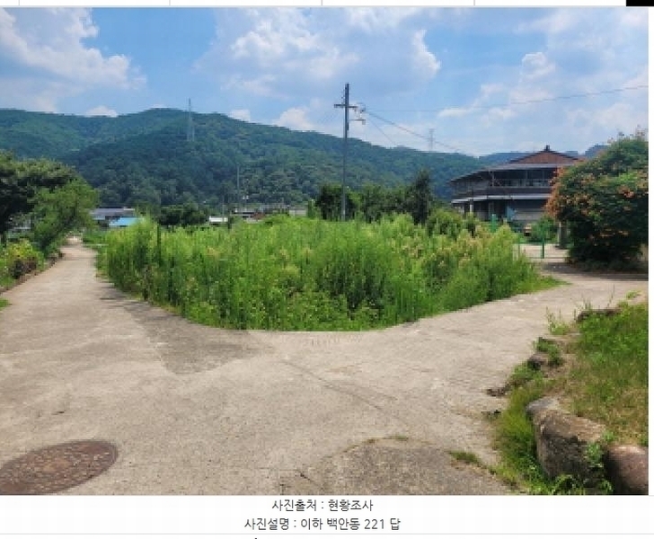 경매 이미지