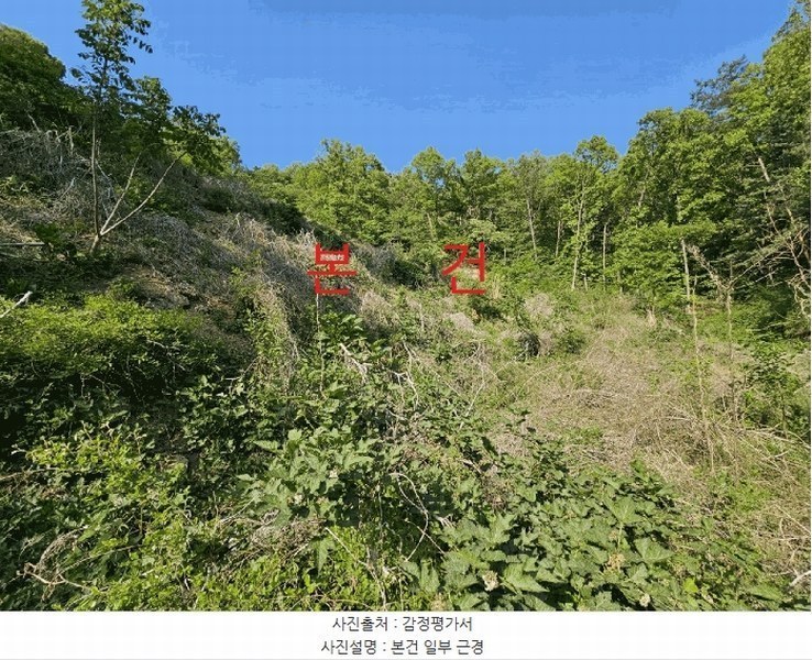 경매 이미지